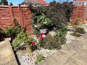 Garden- click for photo gallery